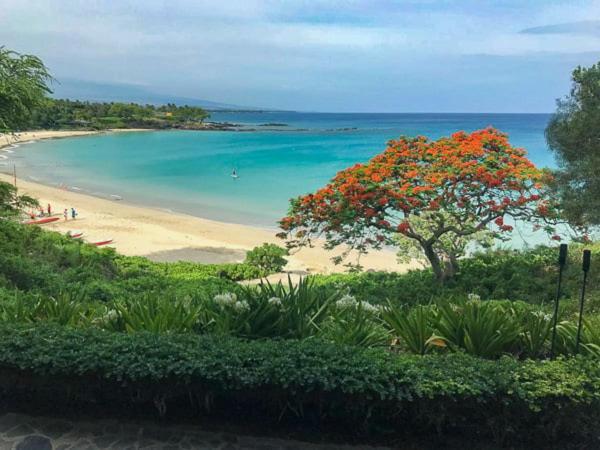 Ikena Nani Exquisite Mauna Kea Home With Heated Pool And Ocean Views Waimea  Ngoại thất bức ảnh