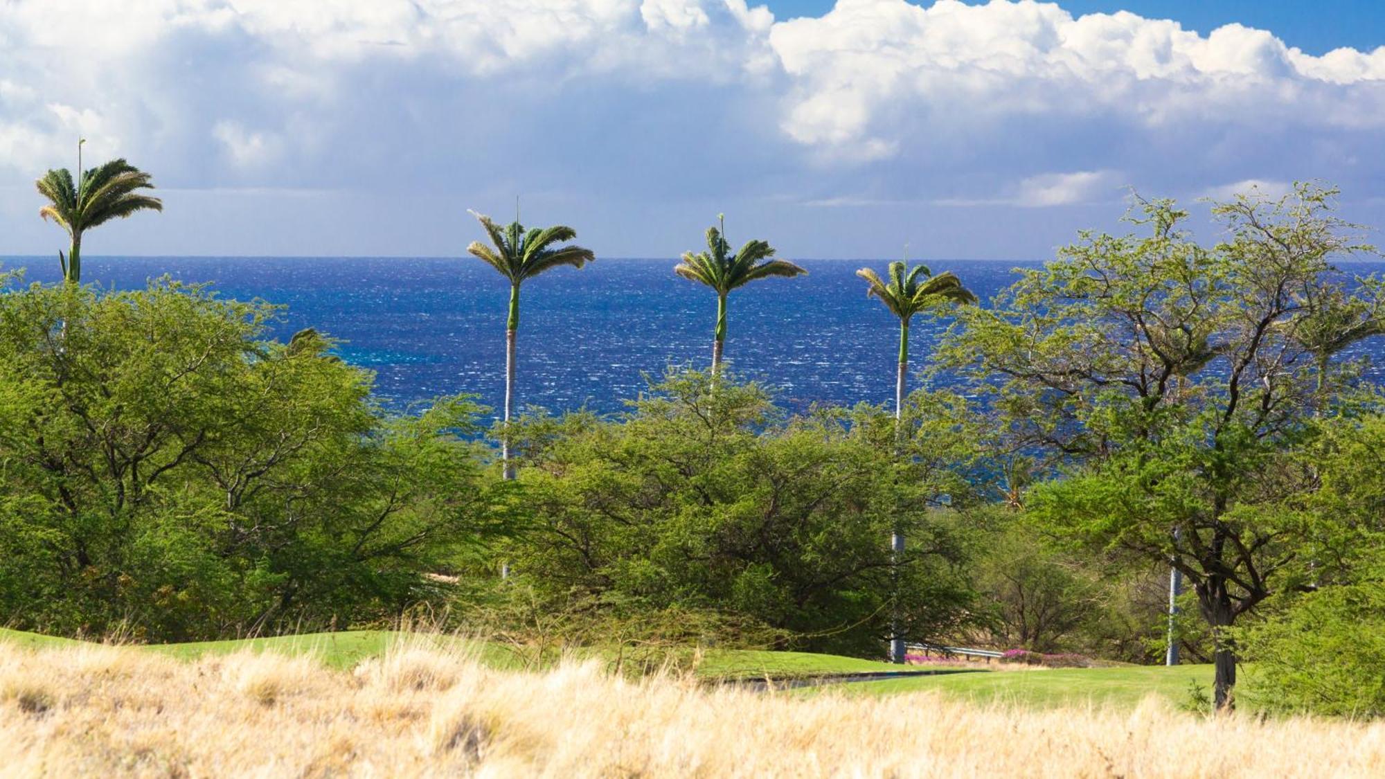 Ikena Nani Exquisite Mauna Kea Home With Heated Pool And Ocean Views Waimea  Ngoại thất bức ảnh